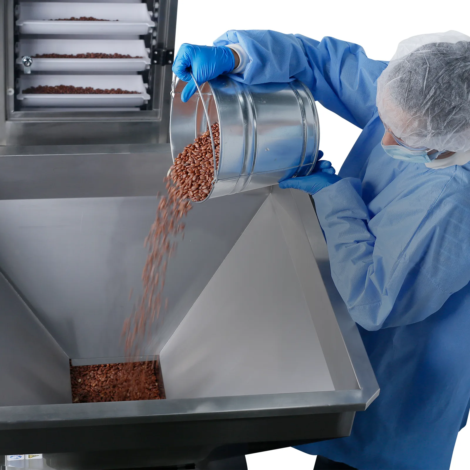 Un trabajador que lleva equipo de protección desechable vierte granos rojos en la tolva de un alimentador vibratorio colocado junto a un elevador de cangilones motorizado JORES TECHNOLOGIES®. Se pueden ver los frijoles transportados dentro del transportador motorizado